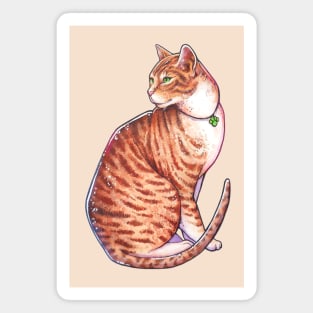 The watercolor cat Magnet
